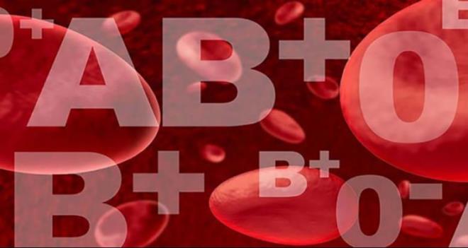 Vcutlar strese kar daha aktr, bu nedenle hayvansal gdalar tketince kendilerini daha bitkin ve yorgun hissederler. A grubundaki kiiler, beslenmelerinde sebze tketmeye gayret gsterirken, bunu deniz rnleri, dk glisemik sebzeler, soya rnleri, kuruyemiler, meyveler ve baklagil dengesini ile yapmaldr.