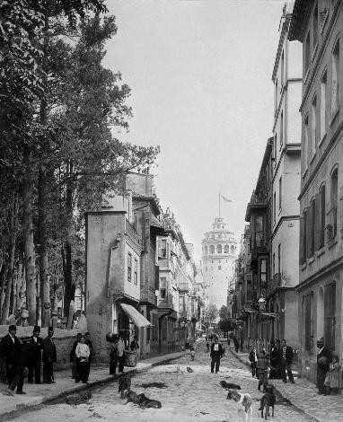 Bykhendek Soka ve Galata Kulesi