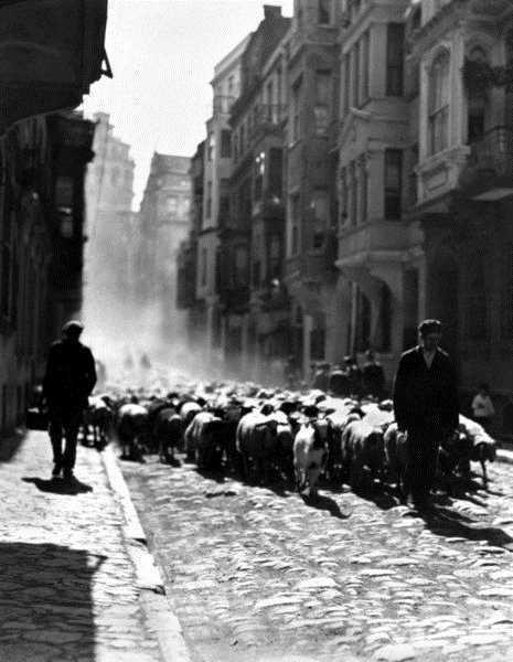 Galata sokaklarnda 1928&#8217;in Kurban Bayram ncesi... Kurbanlklar satlmak zere gtrlyor. O devirde stanbul&#8217;da kurban olarak bykba hayvan kesilmiyor, insanlar koyun ve koa rabet ediyor.