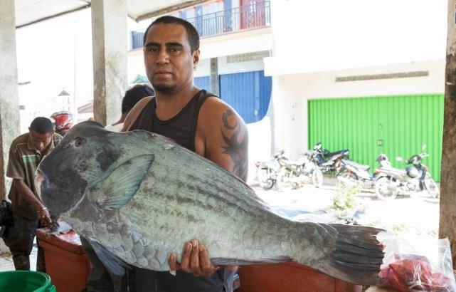 Sashimi Bal<br>    Japonya'da ok satlan balk trlerinden birisi de sashimi baldr. Bu bal fark klan ey ise sokakta bir ah tarafndan hazrlanp hemen yenilmesi.