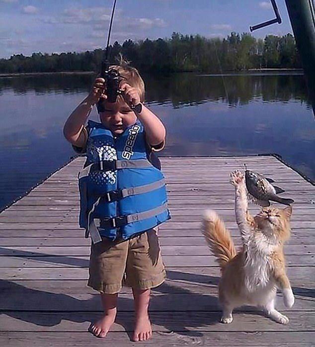 Sust yakalanan sevimli hayvanlar