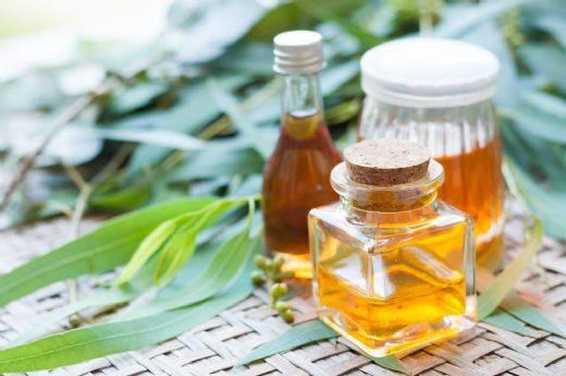 Okalipts kokusu  <br>  Okaliptste yasemin kokusu gibi melankoliyi ve endieyi ortadan kaldrr.