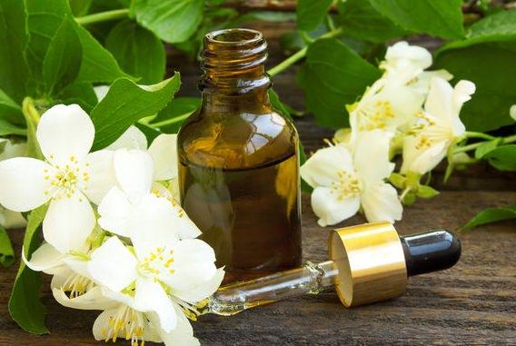 Yasemin kokusu<br>    Mistik bir etkisi olan yasemin kokusu, depresyona, bunalma, kayg bozukluklarna iyi gelmektedir.