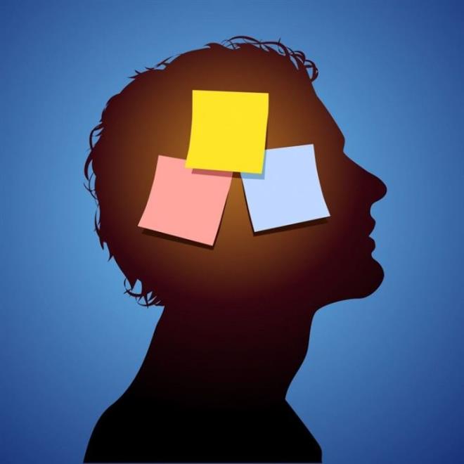 Londra niversitesi Bilisel Sinirbilim Enstits'nden Profesr Neil Burgess, hafza zerindeki zel etkinin kesin olarak belirtilmesi iin daha geni bir aratrma gerektiini, rnein tarak yoluyla beynin sol ve sa yarsna kan aknn incelenmesi gerektiini ifade etti.