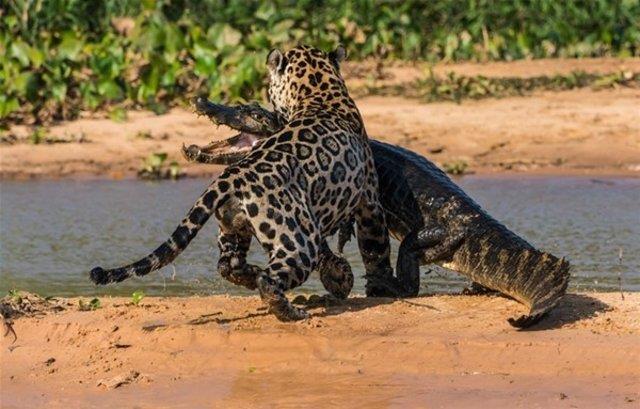 Ve o kareler objektiflere byle yansyor...