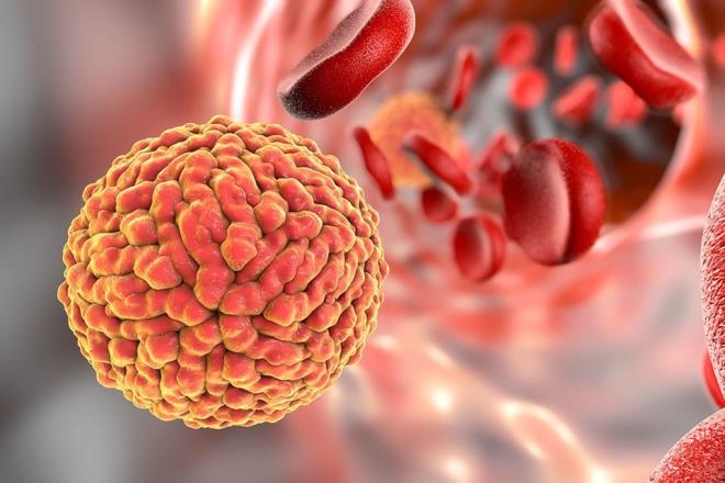 Zika virs 7 yl iinde Anadolu'ya yaylabilir. Uyar Halk Sal Genel Mdrl'ne bal Salk Tehditleri Erken Uyar ve Cevap Dairesi Bakanl'nn raporunda yer alyor.