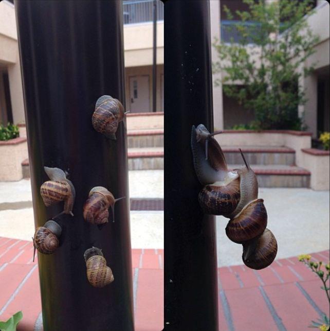 Bedava yolculuk iin mutlaka birisi vardr...