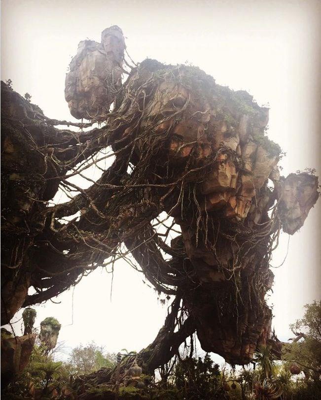 Tabiat, tahmin edilemez srprizlerle doludur. Sadece altnda durmayn yeter