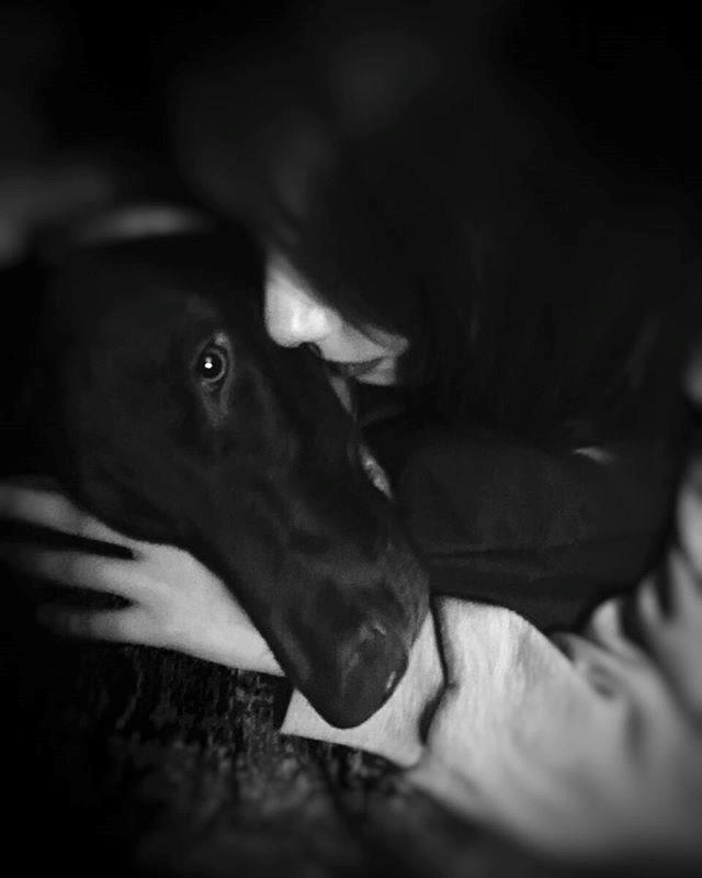 <p><li>    <p><b>NESLHAN ATAGL</b></p>    <p>Kara Sevda'nn 'Nihan' Neslihan Atagl hayvanlar ok seviyor. Atagl; at,kpek,kedi ve kaz gibi birok hayvanla ekilmi fotoraflarn sosyal medyahesabndan paylayor.</p>    </li>    <li>    <p>  13  </p></li></p>