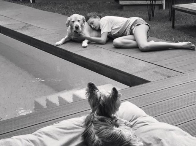 SERENAY SARIKAYA  --  Hayvanlara kar acmasz olan iyi bir insan olamaz.... dedeorfe ve hectorious sizi seviyorum