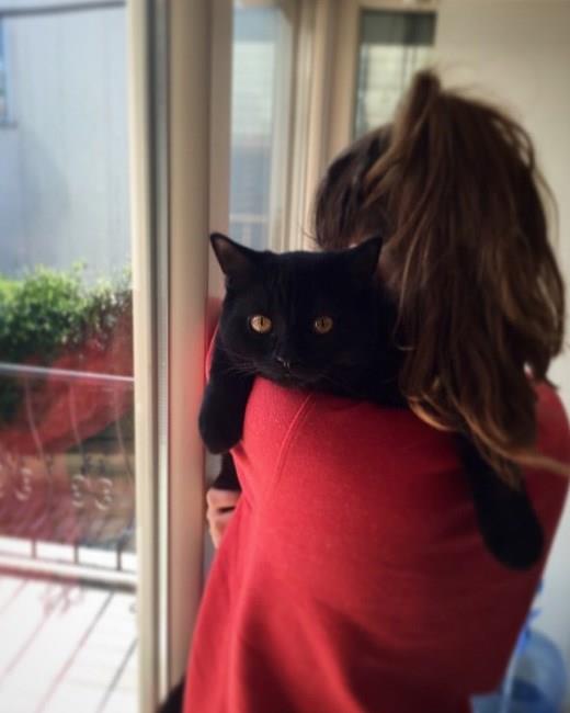 Son olarak De adn verdii bir kedi daha sahiplenen Enver'in Instagram hesabnda rdek, kpek ve at gibi farkl hayvanlarla ekilmi fotoraflar da bulunuyor.