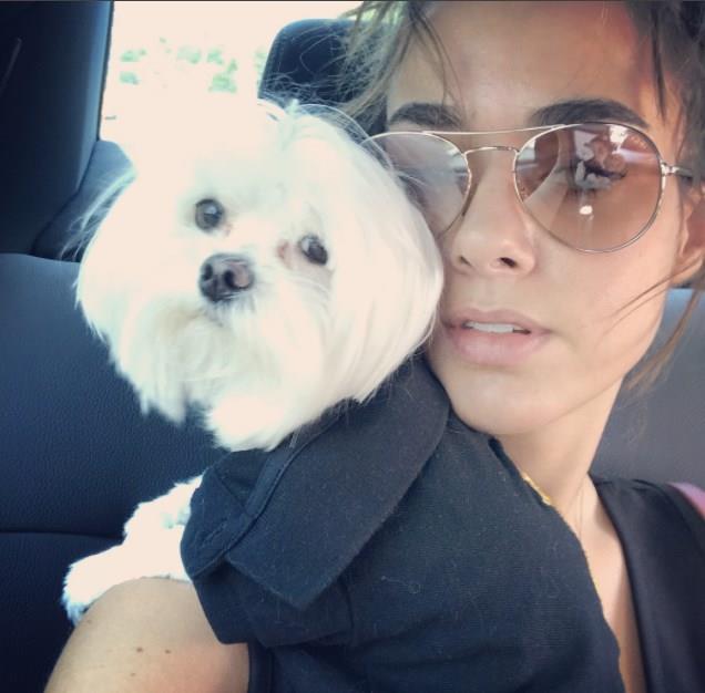 <p><b>BENSU SORAL</b></p>    <p>erde dizisinde hayat verdii Melek karakteriyle yldz parlayan Bensu Soral, He-Man ismini verdii kpeiyle yaptn yeni paylama, "En yakn arkadamz, dostumuz, ocuumuz seni ok ok ok seviyoruz" notunu dt. Son olarak 70. Cannes Film festivali ile gndeme gelen 26 yandaki oyuncu, zellikle Instagram hesabnda dikket eken kpei hakknda daha nce baz bilgiler vermiti.</p>