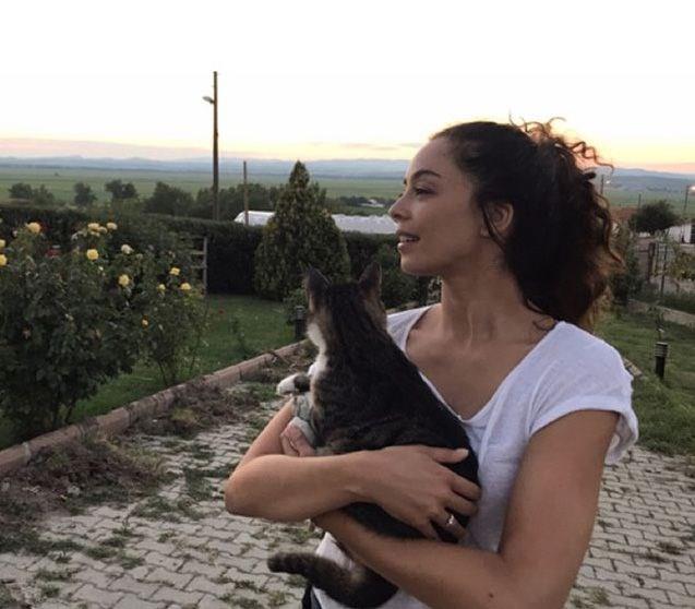 nl isimler kediye, kpee ya da birden fazla sevimli dosta sahipler. Kimi evinde, kimi bahesinde barndryor. Kimi ise sadece seviyor. te Bensu Soral'dan Murat Boz'a, Lady Gaga'dan Miranda Kerr'e, Elin Sangu'dan Caner Erkin'e nllerin sevimli dostlar ve hayvan sevgisi...