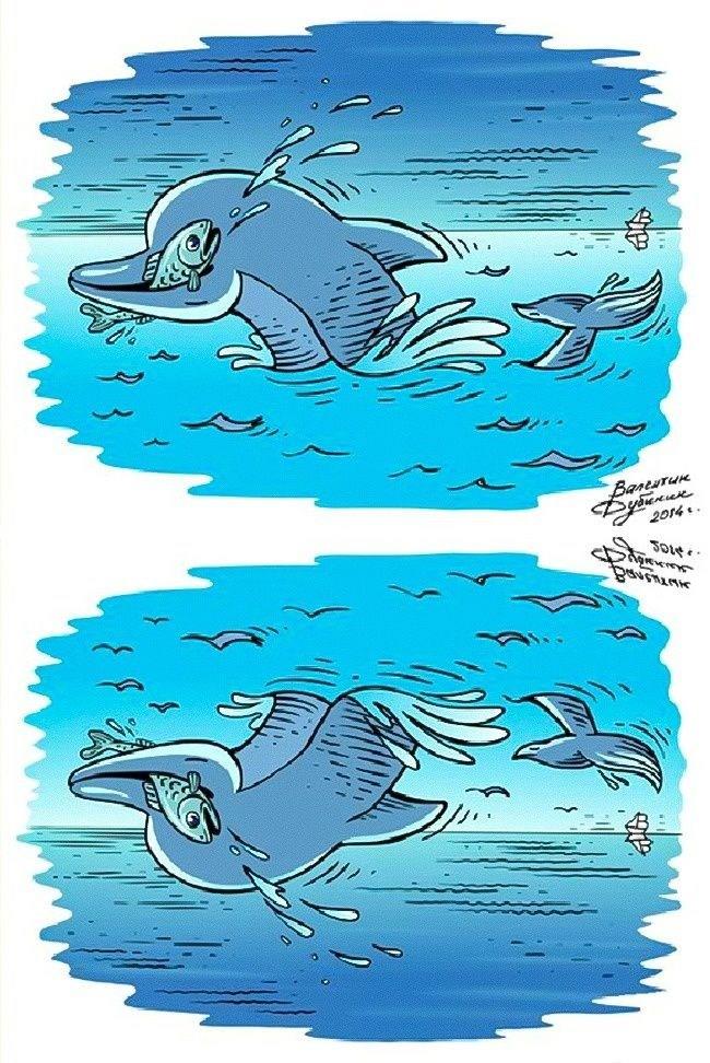 Yunus bal ve pelikan