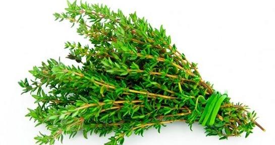 Kekik: <br>Gndelik yaamda ok sk kullanlan, kendine has koku ve tadyla ifal baharatlardan olan kekik bitkisi iin &#8220;kekiin de zarar m olurmu?&#8221; demeyin. Kekik ay; idrar enfeksiyonlarndan sindirim problemlerine, st solunum yolu enfeksiyonlarndan mide rahatszlklarna kadar pek ok fayda salasa da, tansiyonu drc etkisinden dolay yksek tansiyon hastalarnda ilacn etkinliini arttrdndan sanlann aksine olumsuz sonular dourabiliyor. Bu nedenle yksek tansiyon hastalarnn eer kekik ay ieceklerse bir uzman kontrolnde ilatan 2 saat sonra tketmeleri uygun olabilir.