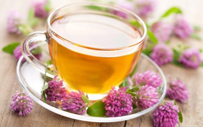 Ekinezya:<br> Baklk sistemini glendirici etkisiyle ekinezya souk algnlnda ok sk kullanlan bir bitki ay. Souk algnl kalntlarnn nlenmesi ve tedavisinde yardmc. Mevsim deiimlerinin etkilerini hafifletmek, hastalklara kar vcut direncini artrmak iin ekinezya ay bir ay dzenli kullanlabilir. Ancak baz kiilerde alerjik reaksiyonlara yol aabiliyor. Doum kontrol, alerji ve kolesterol ilalar ile etkileimi olduundan, bu ilalar kullananlar bir uzman tavsiyesi olmadan kesinlikle kullanmamal.