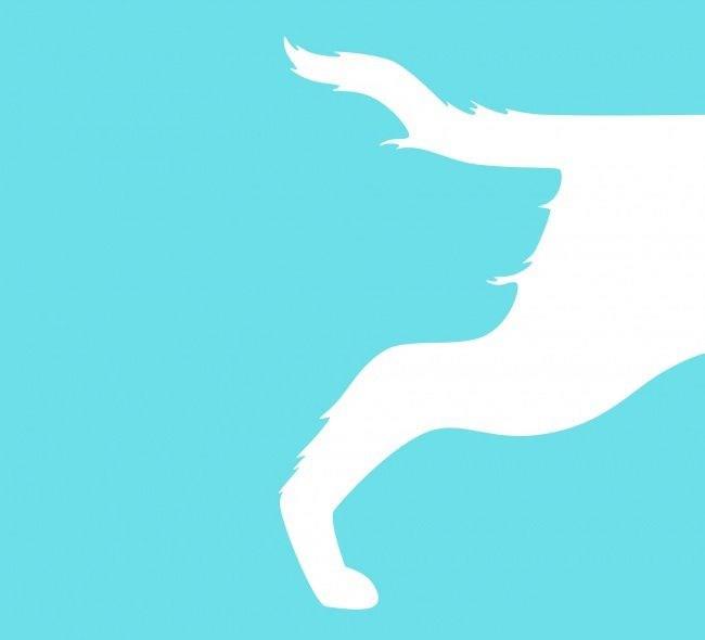 Kpek burnu. Resmi normal yoldan, soldan saa doru analiz etmisiniz demektir. Problemlerin zmnde mantkl yolu tercih edenlerdensiniz.  <p>    Kpek kuyruu ve aya. Resmi sadan sola doru incelemisinizdir. Problemlerin zmnde yaratc yaklam tercih ediyorsunuz. Muhtemelen en orijinal fikirler size ait olanlar.