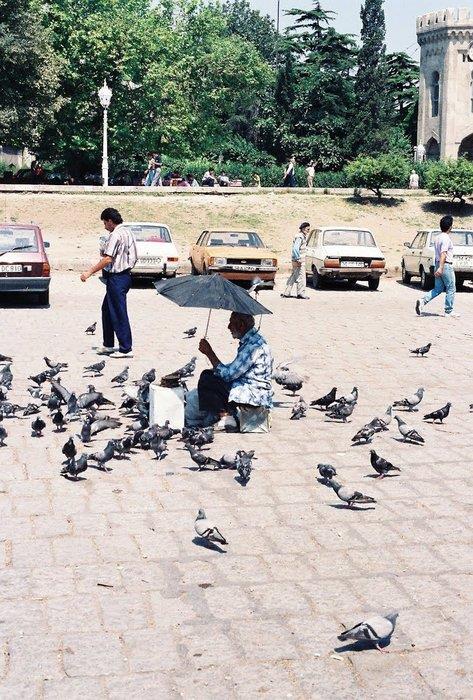 1988 Beyazt