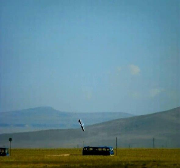 SOM - HASSAS GDML STAND OFF MHMMAT    te kare kare SOM'un yaratt tahribat...