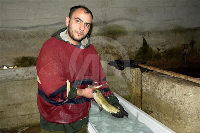 evre illerdeki arac kurulularla Grcistan ve Japonya'ya ihra ediliyor.