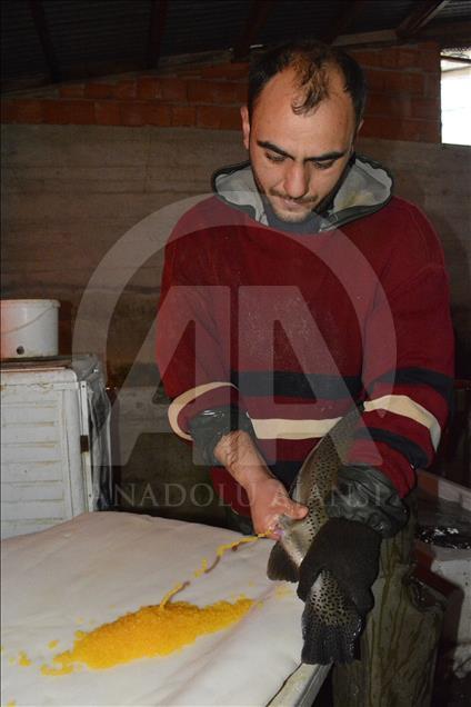 Sanayinin azl ve bakir corafyasyla su yataklar kirlilikten etkilenmeyen kentte retilen balklar...