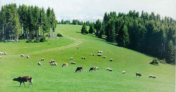 <p>GAZANTEP</p>  <p>  ehrin eski ad Ayntab&#8217;dr. Kelime anlam, pnarn gz demektir. Halk bunu Antep olarak deitirmitir. Halk Kurtulu Sava'nda Franszlara kar baarl bir sava verince 6 ubat 1921&#8217;de karlan bir yasayla Gazi unvan verildi.</p>  <p>  GRESUN</p>  <p>  ehrin nerede kurulduu ve kimler tarafndan iskan edildii konusu tartmaldr. Bu tereddt M.. 350 yllarna ait kaynaklarda da yer almaktadr. Corafyac Strabon, Farnakia dedii ehrin; bugnk Giresun kentinin olduu yerde kurulduu zerinde durmutur. Romal idareci Arrien Farnakia'nn eski adnn Kerasus olduunu belirtmi ve burann Sinoplular tarafndan kurulduunu yazmtr.</p>