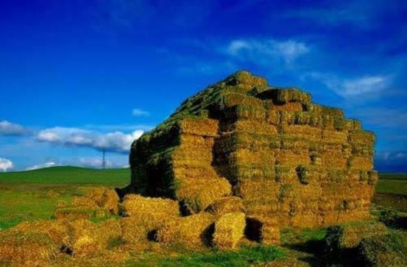 <p>TEKRDA</p>  <p>  Adn, ky boyunca uzanan Tekirdalar'ndan almtr.</p>  <p>  TOKAT</p>  <p>  Eski ad &#8220;Komana Pontika&#8221;idi. Tokat adnn Pontika adnn halk arasndan deimi eklidir.</p>