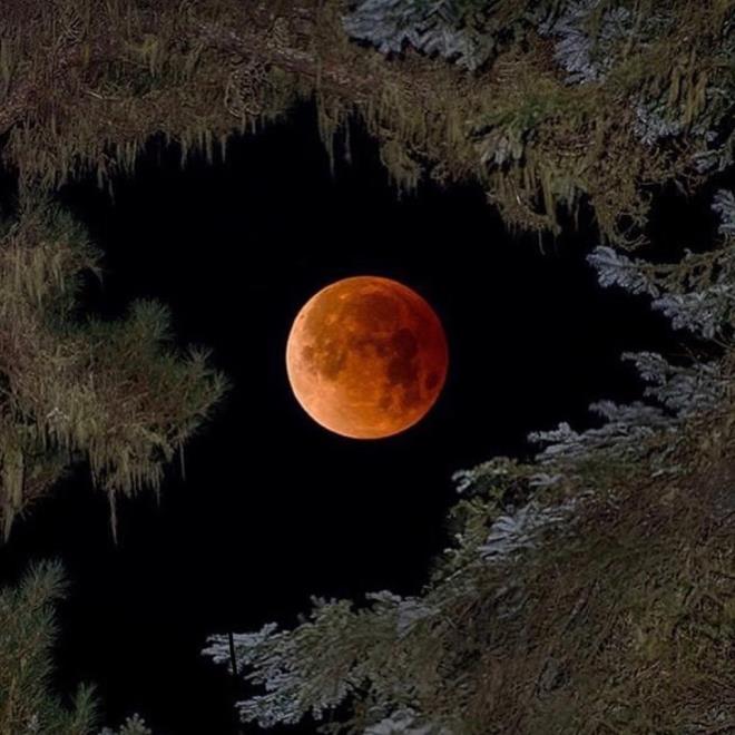 Tarkan    "Sper Kanl Mavi Ay tutulmas&#8221;