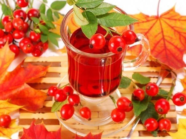 Kandaki kt kolesteroln drlmesi ve iyi kolesterol seviyesinin ykseltilmesinde faydal olan kuburnu, bu sayede kalp ve damar hastalklarna kar koruyor. Kuburnunu ay olarak demleyip tketebileceiniz gibi, ekersiz marmeladn yaparak da faydalanabilirsiniz.