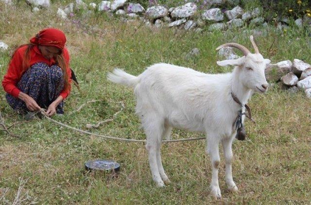 En son defilemi ise Cemil peki defilesinde gelinlik ile yapmtm. Artk emeklilik zaman geldi dedim ve hayalimi gerekletirdim.