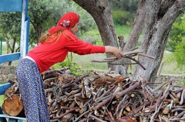 Hibir yere de gitmeyi dnmyorum. Yllarn yorgunluunu burada atyorum. Burada artk hayvanlarmla huzurlu mutlu salkl bir hayat yaamak istiyorum."