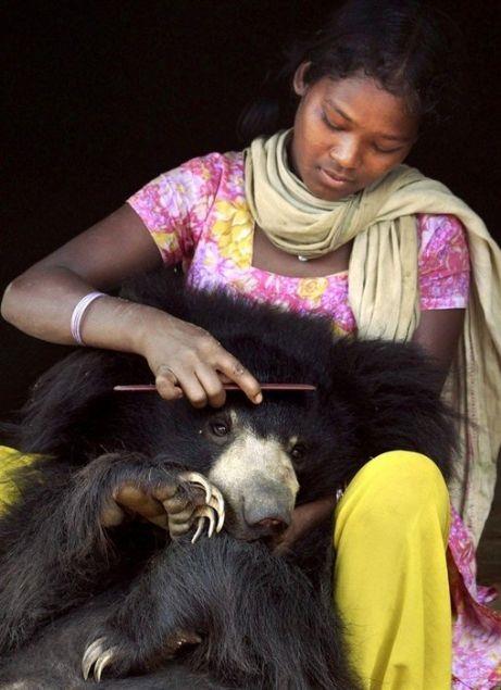 Sloth Bear (Tembel ay) cinsinden bulunan yavru ay adn yava hareket etme zelliinden alyor.