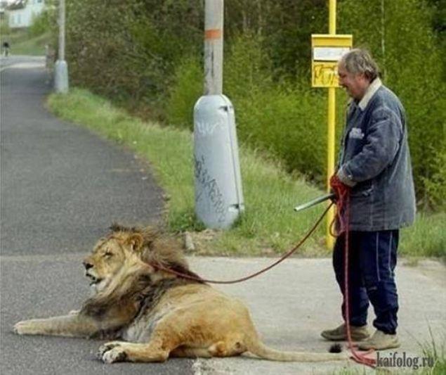 te dnyann en srad evcil hayvanlar...