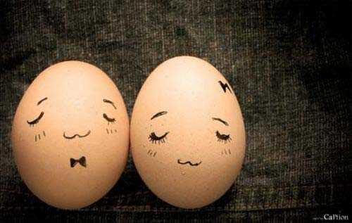 Bu y�zden serbest gezinen ku�lar�n veya sertifikal� organik her t�rl� yumurta kabu�u (tavuk, kaz, �rdek) kullan�lmal�d�r.