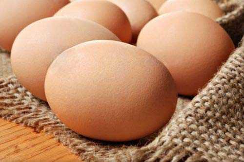 Salmonella bakterisi riski i�in iyi kaynat�lm�� olan yumurta kabu�u, kurutulup blenderla toz haline getirildikten sonra t�ketilebilir.