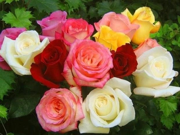 21 Mays &#8211; 31 Mays:    ok ynl ve becerikli,yarg ve mantk gcne sahip, yenilikten holanan, yeni insanlar tanmaktan zevk alan, eri ile doruyu ayr etmesini bilen,dmanlarn yenmeye baarabilecek kadar akll kiilerdir.