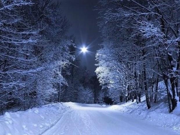 11 Mart &#8211; 20 Mart: Vizyon sahibi, her yerde baarl olabilen, hayallerini geree dntrebilen, ngrleri doru kan, bakalarn kolaylkla etkileyebilen, kararllk gsterdii zamanlarda her iin stesinden kolayca gelebilen, gl bir manyetizmaya sahip kiilerdir.