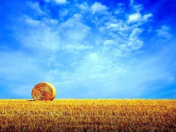 23 Eyll &#8211; 2 Ekim:    Lks, gzellik, kaliteden holanan, erkekleri yakkl, kadnlar ok gzel olan, sosyal yn gl, yeni fikirleri seven, hassas yaradlta, zevkleri iin para harcamaktan ekinmeyen, yeni insanlarla tanmaktan zevk alan, ansl kiilerdir.