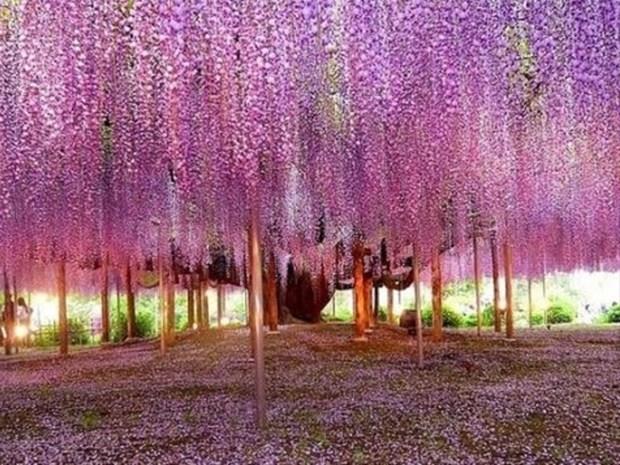 11 Mays &#8211; 20 Mays:    Gvenilir, drst yaklamlara sahip, gereki dnebilen, kendine yeterli, baarma tutkusu olan, alkan, kabalktan holanmayan, keskin gzlem gc olan, arkadala nem veren, hedefine ulatnda bbrlenmeyen, iyiliin, vefann kymetini bilen kiilerdir.