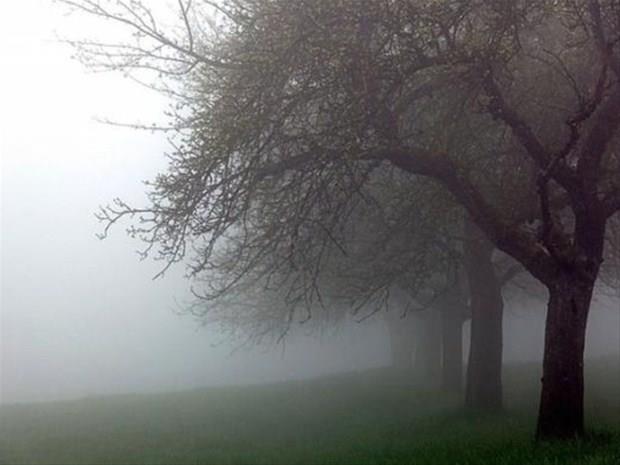 2 Aralk &#8211; 11 Aralk:    ok cesur. nanmad hibir eyi kabul etmeyen. Savama drts yksek Hakszlklara boyun emeyen amaca ynelik hareket edebilen. Gayet bamsz zincirlere tahamml etmeyen. Kimsenin lafyla hareket etmeyen Sadk ve olduka fedakar. Sz verdii zaman mutlaka yerine getiren. Aktif, hzl ve gz pek. Cinsellii gl, tutkulu, giriimci, istedii kiiye elde edebilen Kimi zaman olduka sabrsz, aceleci davranabilen. Rekabeti, olduka tutkulu.