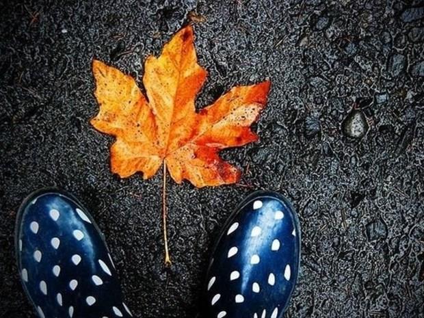 23 Kasm &#8211; 1 Aralk:    Ahlaki zellikleri son derece gl. nan, zgven duygusu gelimi, drst kiilerdir Geni grl, vicdanl, deerlerine nem veren, yksek eitimden holanan. yimser, ngrleri doru kan. Gezgin bir ruh, yaam derinlemesine yaamaktan holanan Akta balanma duygusu fazla yksek olmasa da, sevdiklerine dkn ve onlar koruyan. Baka insanlar bilgisiyle, zarafetiyle byleyen. Yol gsteren abilik ablalk yapabilen nsancl, ak fikirli. Etik deerlere ve kanunlara saygl. Fazla para harcamay seven.