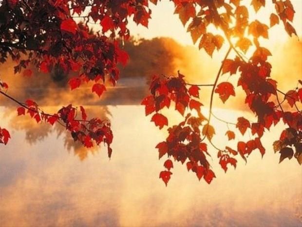 14 Ekim &#8211; 23 Ekim:    Fiziksel ve zihinsel anlamda hzl ve aktif hareket edebilen, szleriyle ilgi uyandrabilen, zekasyla her trl sorunun stesinden gelebilen, akta ar duygusallk yerine gerektiinde mantnn sesine kulak verebilen, hislerini kada dkebilen, yenilikleri uygulamaktan holanan kiilerdir.