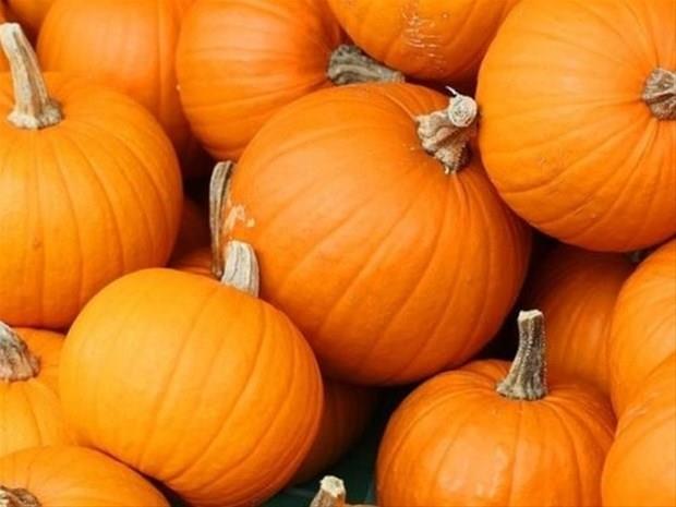 2 Kasm &#8211; 11 Kasm:    Olduka duyarl, Romantik ve tutkulu. deallerinden dn vermeyen Hayal gc yksek fakat hayal ettiklerini hayatnda uygulayabilen sezgileri yksek. Akla bymekten, gelimekten holanan. Ak iin her trl mcadeleye giren Bakalarnn sorunlarna are bulabilen, empatisi yksek, ynlendirme gc youn. Bakalaryla yarabilen, yksek noktalara er veya ge gelebilecek gl bir karekter Derinlikten holanan, i olsun diye dost olmayan, dostuna gerekten yardm edebilen.