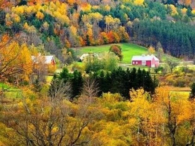 3 Ekim &#8211; 13 Ekim:    Bakalar tarafndan her zaman ilgin, sra d bulunan, ok ekici, zgrlne dkn, kurallarla evrelenmekten holanmayan, sosyal ilikilerini nemseyen, popler ve girdii ortamlarda farkedilen, farkl bulunmaktan holanan. Kararlarn kendi vermekten zevk alan kiilerdir.