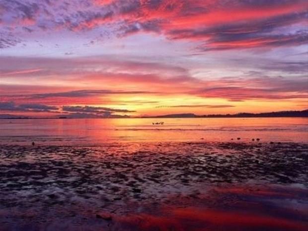 13 Austos &#8211; 22 Austos:    Kendini ortaya koyabilen, sava, enerjik, isteklerini elde edebilen, bilinli, cesur, hakszlklara boyun emeyen, yeni fikirleri nemseyen,giriimci, zeki, nerede ne yapmas gerektiini bilen, ak szl, karsndaki kiiyi abucak zebilen, ak szl, beklemekten holanmayan, yeni projelere, planlamalara istekli kiilerdir