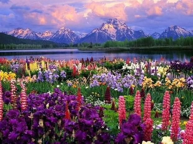 12 Temmuz &#8211; 22 Temmuz:    Artistik kabiliyeti olan, aydnlanmaktan yana, sanata meyilli, idealist, vizyonu yksek Kendini amak isteyen, duyarl yree sahip, zverili, hayal gc yksek, akta derin duygulara sahip kiilerdir.