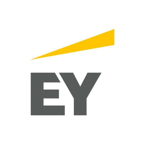 EY Trkiye  -  400  -  Arlkl olarak stanbul ofisi iin gen yetenek ve deneyimli personel alm yapacak.