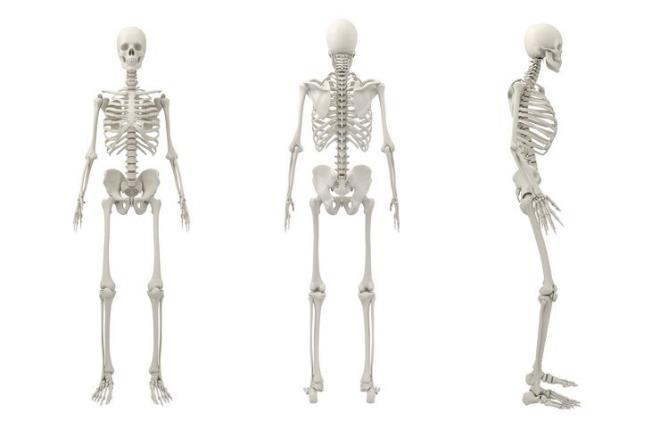 Kemikleri glendiriyor: <br>Balk, kemikleri de glendirir. zellikle de kl ile yenilebilen kk balklar kalsiyumdan zengin olduundan, kemiklerin glenmesini salar. Bu zellii ile kemik erimesi sorunu yaayanlar, menopoz dnemindeki kadnlar ve yallar bol bol balk tketmeleri nerilmektedir.