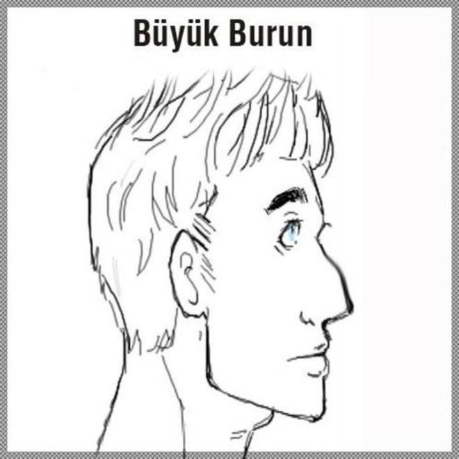 Byk ya da kk bir kemerin olduu burna sahip kiilerin en belirgin zellii emir almaktan hi holanmazlar, tek balarna bir ok iin altndan kalkabilirler.