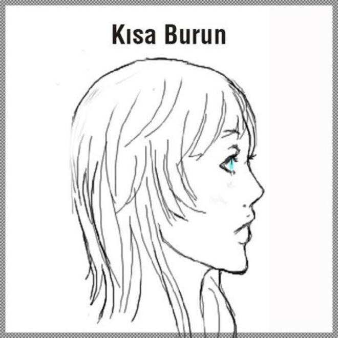 Ksa burunlu insanlar, kaygl bir yapya sahiptirler. Sevdiklerine kar sadk ve vefaldrlar. ocuk ruhlu olmalaryla beraber, duygusal, kibar ve hassastrlar.